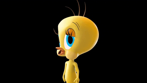 Buenos Dias Piolin 480 X 270 Gif GIF