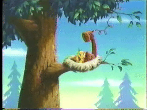 Buenos Dias Piolin 480 X 360 Gif GIF