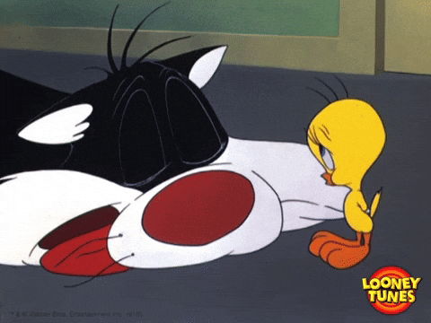 Buenos Dias Piolin 480 X 360 Gif GIF