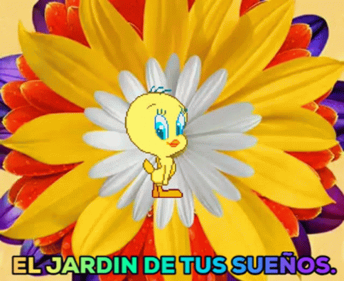 Buenos Dias Piolin 498 X 407 Gif GIF