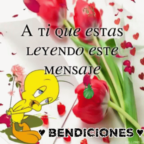 Buenos Dias Piolin 498 X 498 Gif GIF