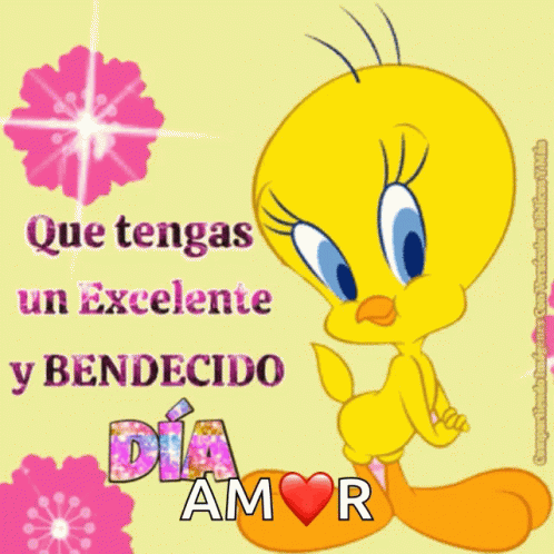 Buenos Dias Piolin 498 X 498 Gif GIF