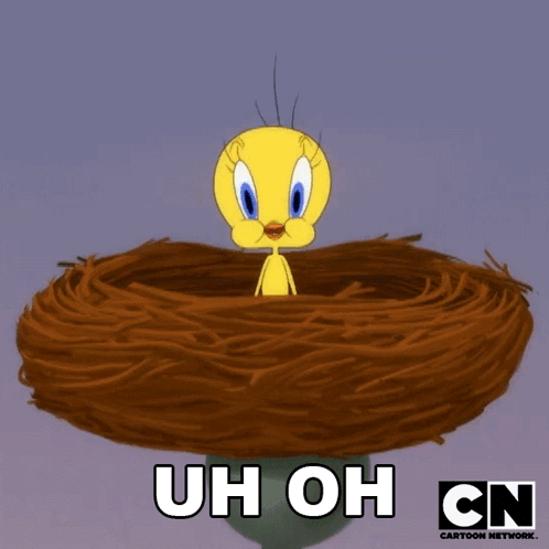 Buenos Dias Piolin 498 X 498 Gif GIF