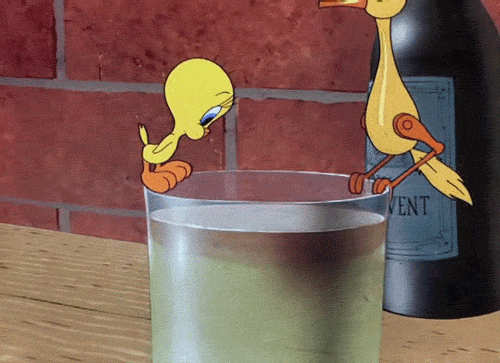 Buenos Dias Piolin 500 X 363 Gif GIF
