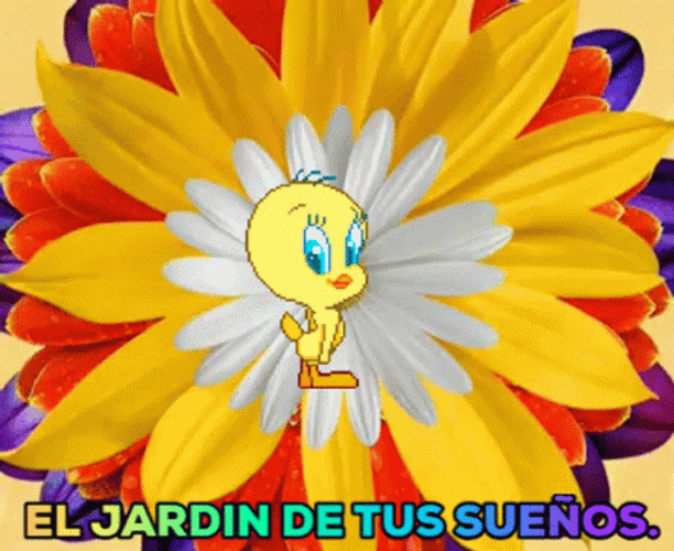 Buenos Dias Piolin GIF