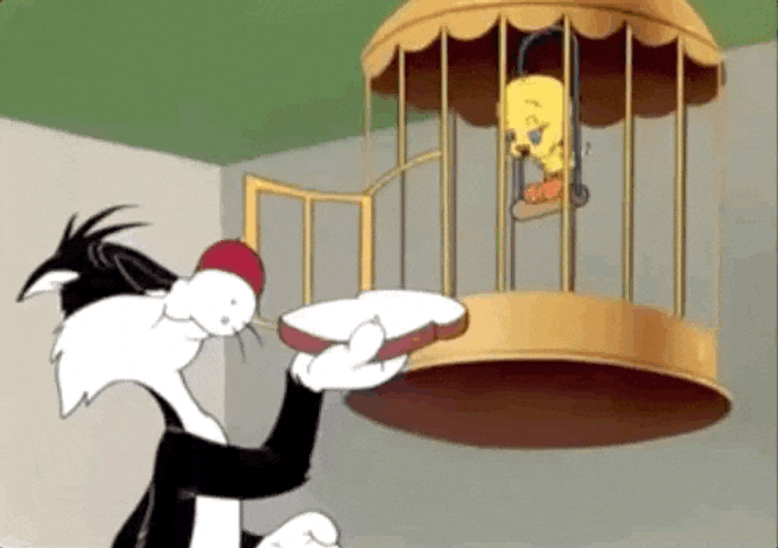 Buenos Dias Piolin GIF