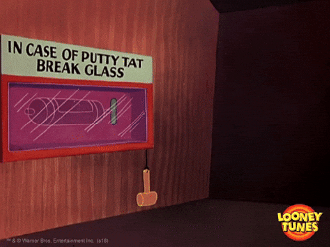 Buenos Dias Piolin GIF