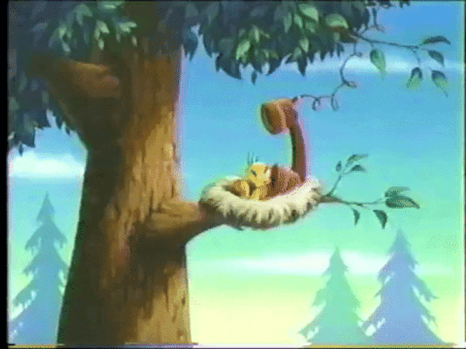 Buenos Dias Piolin GIF