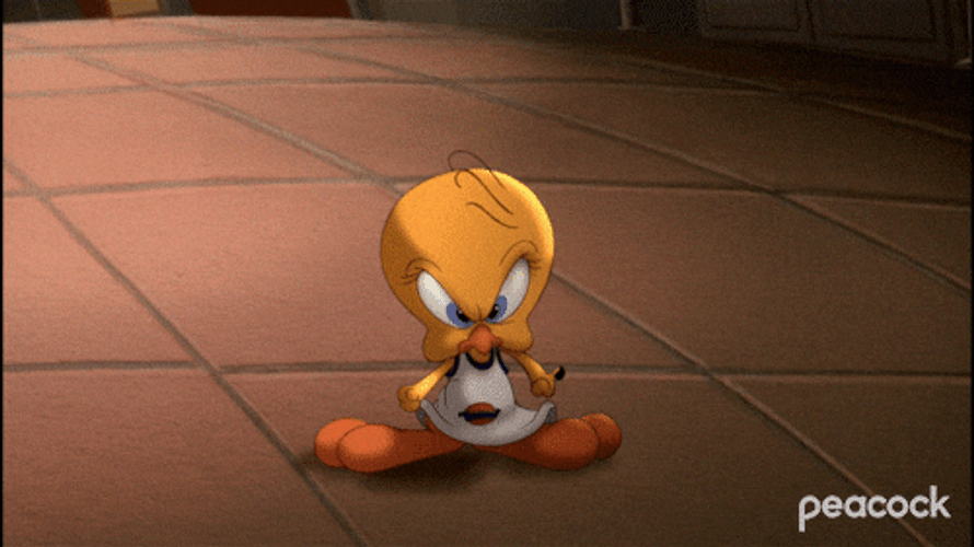 Buenos Dias Piolin GIF