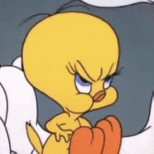 Buenos Dias Piolin GIF