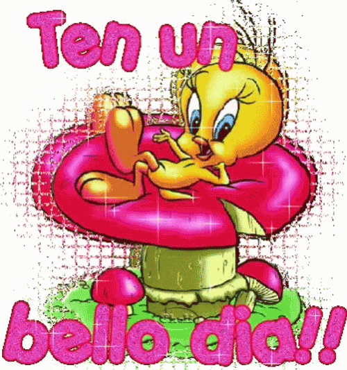 Buenos Dias Piolin GIF