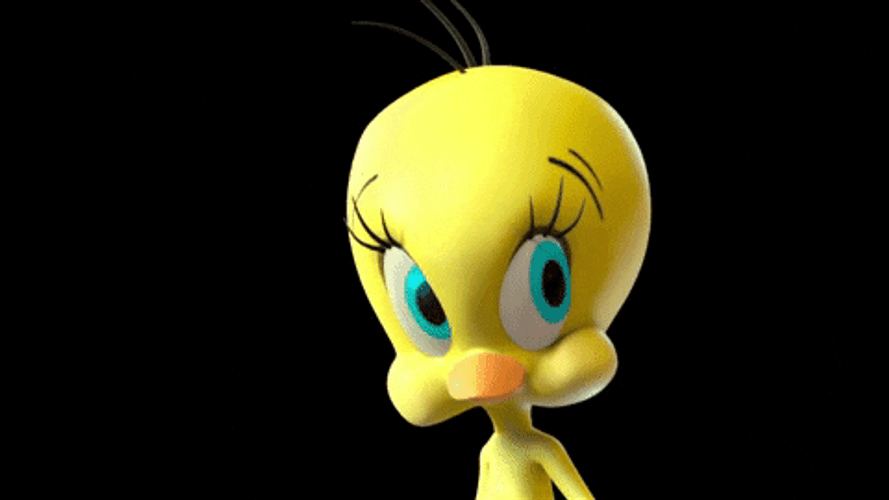 Buenos Dias Piolin GIF