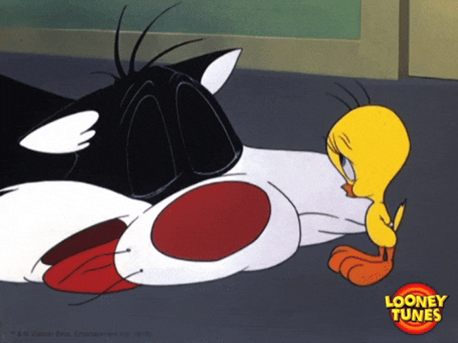 Buenos Dias Piolin GIF