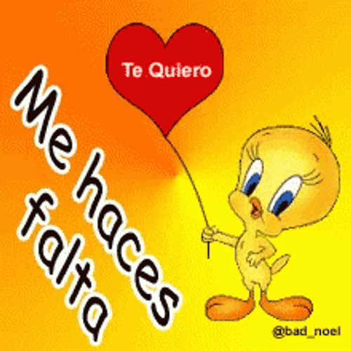 Buenos Dias Piolin GIF