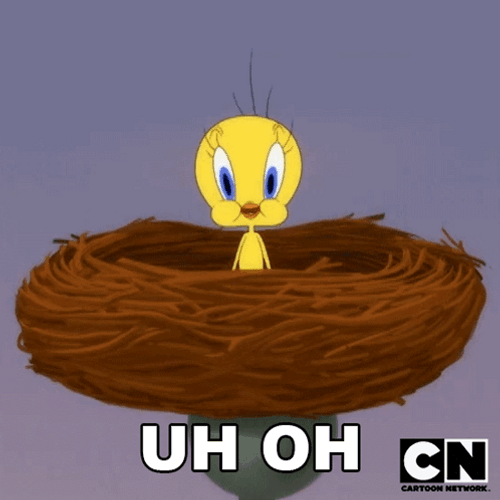 Buenos Dias Piolin GIF
