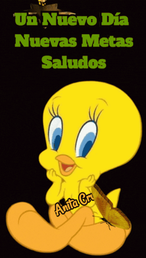 Buenos Dias Piolin GIF