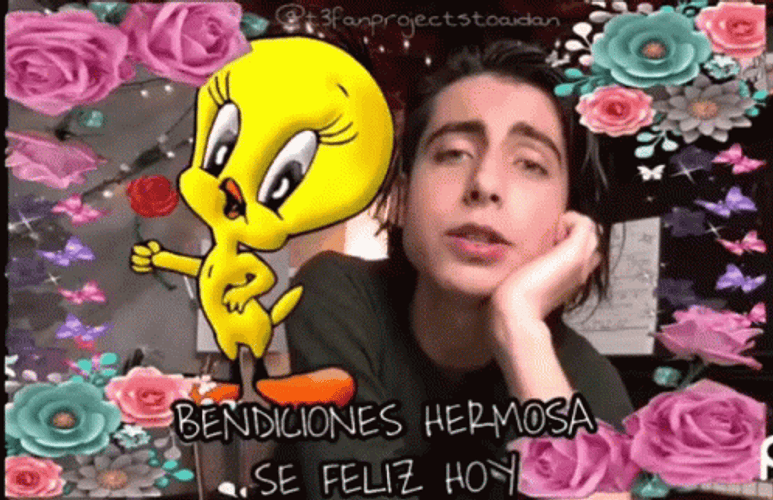 Buenos Dias Piolin GIF