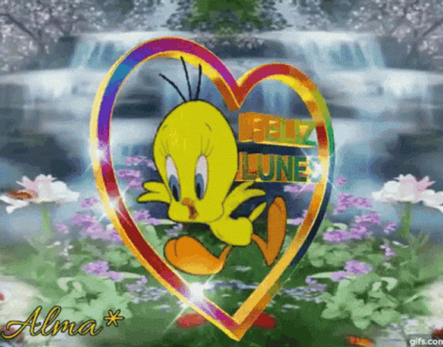 Buenos Dias Piolin GIF