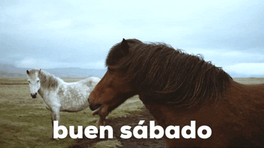 Buenos Dias Sabado GIF