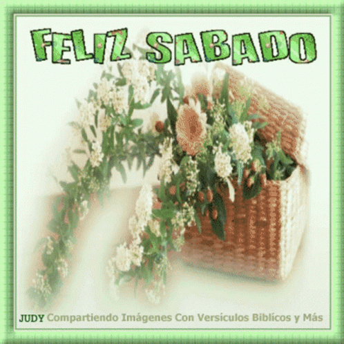 Buenos Dias Sabado 498 X 498 Gif GIF