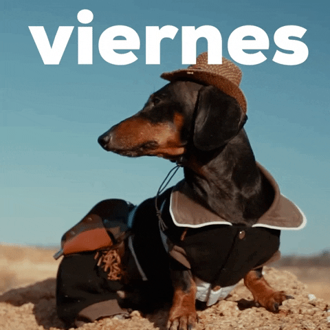 Buenos Dias Viernes 480 X 480 Gif GIF