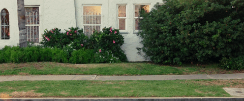 Buenos Dias Walk Of Shame GIF