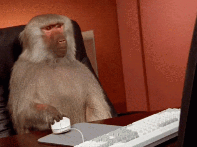 Buffering Slow Computer Stressed Monkey At Work GIF