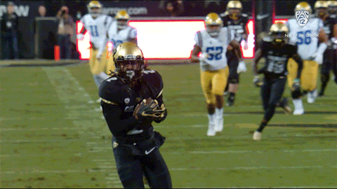 Buffs Colorado Buffaloes Laviska Shenault Jr Touchdown GIF
