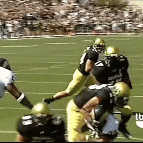 Buffs Colorado Buffaloes Take Down GIF