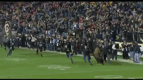 Buffs Colorado Buffaloes Video Compilation GIF