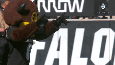Buffs Mascot Ralphie Rallying Crowd GIF