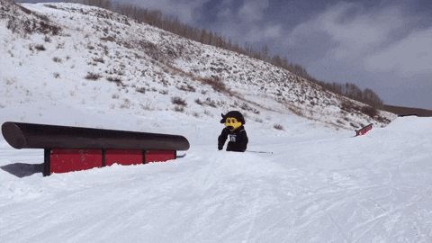Buffs Mascot Ralphie Skiing Exhibition GIF