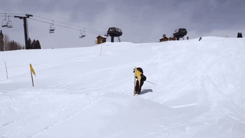 Buffs Mascot Ralphie Skiing GIF