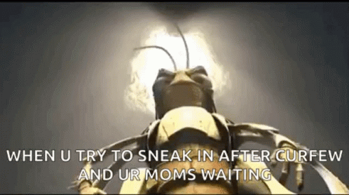Bug Close Up Sneaking After Curfew Mom Waiting GIF
