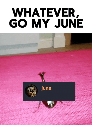 Bug on Pink Rug Saying June