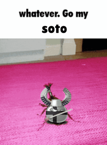 Bug on Pink Rug Whatever Go My Soto
