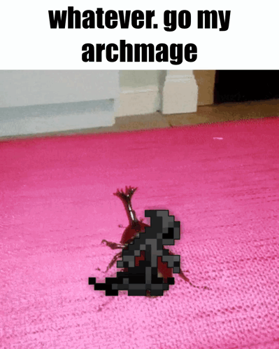 Bug On Pink Rug With Whatever Go My Archmage GIF