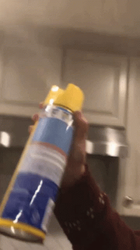 Bug Spray On The Ceiling GIF