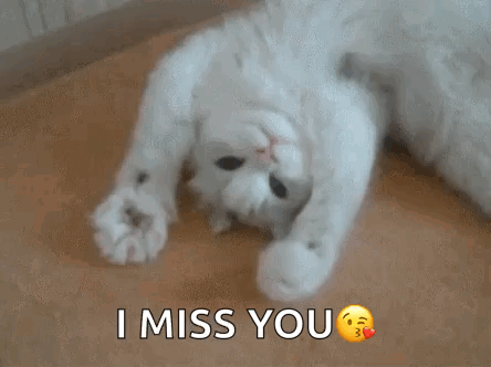 Bugs Bunny Crying Saying I Miss Your Face