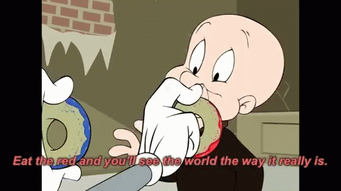 Bugs Bunny Florida 480 X 270 Gif GIF