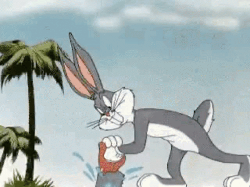 Bugs Bunny Florida 498 X 373 Gif GIF