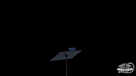 Bugs Bunny Florida Conductor Wink GIF