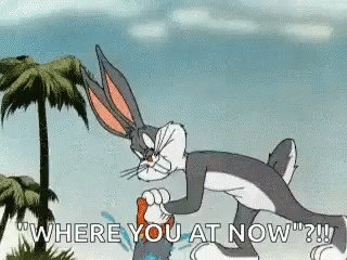 Bugs Bunny Florida Where You At Now GIF