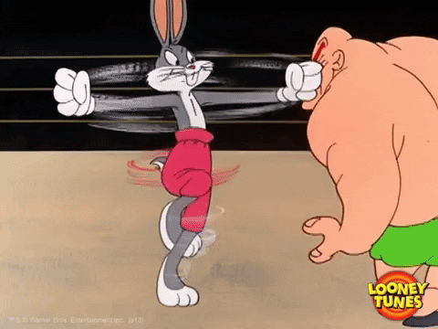 Bugs Bunny Florida Wrestling GIF