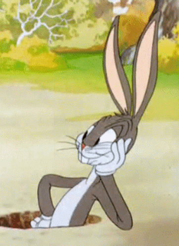 Bugs Bunny From Looney Tunes Is Sitting In A Hole . GIF