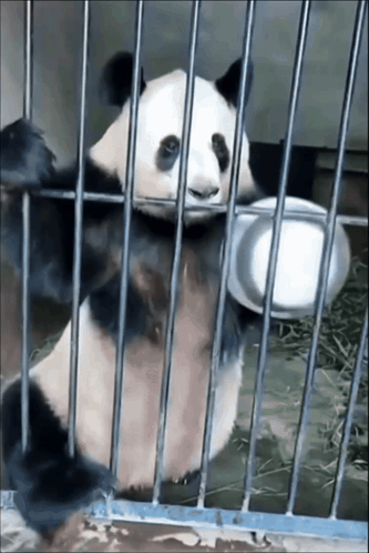 Bugs Bunny In Jail Uniform Holding Hammer GIF