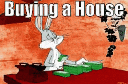 Bugs Bunny Sitting at Table With Money Buying a House