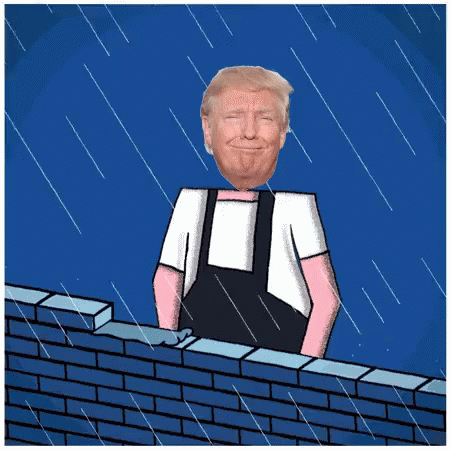Build Brick Wall Funny Donald Trump GIF