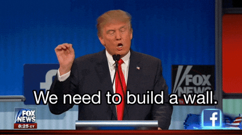 Build The Wall Donald Trump Fox Debate GIF