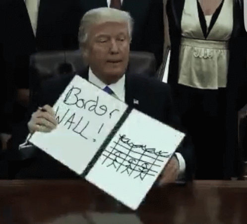 Build The Wall Donald Trump Placard GIF